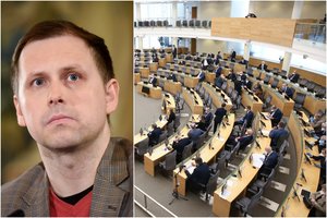 Viešumoje šaukia garsiai, bet balsuodami – kone bendraminčiai: ekspertas paaiškino situaciją dėl išmokų
