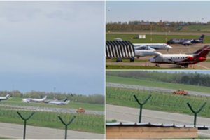 Žiaurus oro uosto darbuotojų poelgis papiktino žmones: suvažinėjo pasimetusią lapę