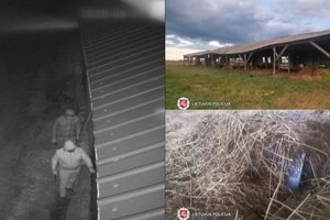 Panevėžio apskrities policija sučiupo ūkininkus skriaudusią vagių gaują