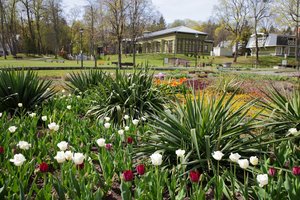 Paskelbė, kokių dovanų sulauks pamėgusieji  Birštono kurortą