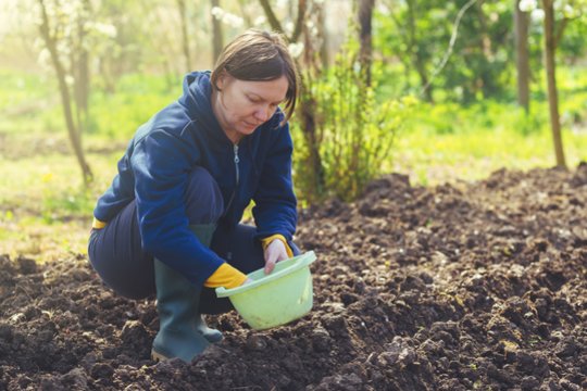 Sodininkė atvėrė savo patirties skrynią: kol dar yra šalnų tikimybė, tai būtina atlikti