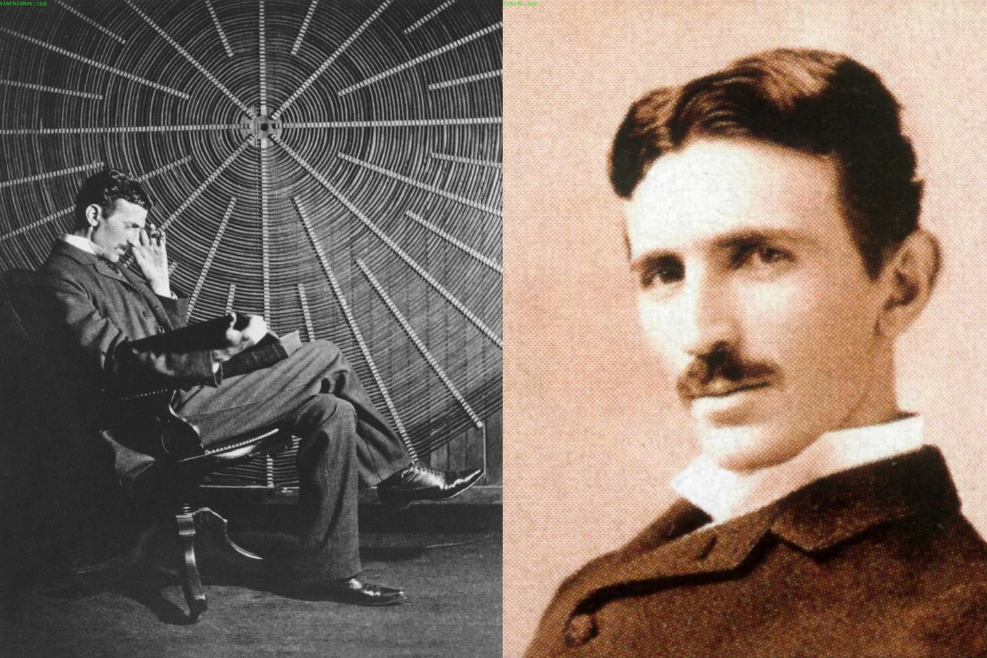 ​Serbijos kultūros ministras penktadienį paragino Europos Sąjungos institucijas atsiprašyti už tai, kad bloko oficialiame tinklapyje Nikola Tesla, garsusis šiuolaikinės elektros inžinerijos pionierius, vadinamas kroatu. <br>Commons.wikimedia.org nuotr.