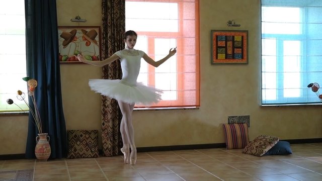 Užburiantį šokį sukūrusios balerinos siekia padėti nuo koronaviruso nukentėjusiems šokėjams
