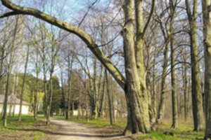 K. Mažeikos prioritetinių darbų sąrašas sukėlė pyktį: svyra rankos dėl savos tvarkos