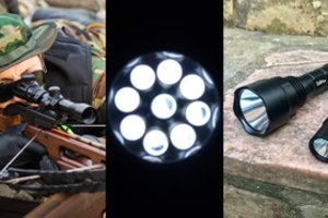 Seime – siūlymas uždrausti dar vieną populiarų medžioklės įrankį