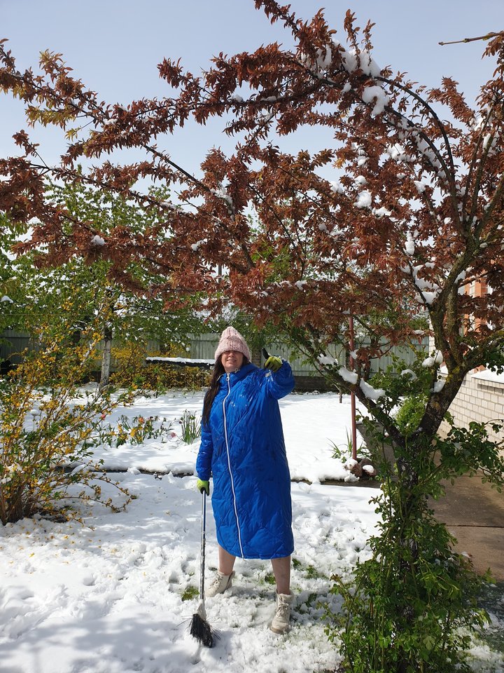 Sniegas užklojo Livetos Kazlauskienės sodą.<br>Asmeninio archyvo nuotr.