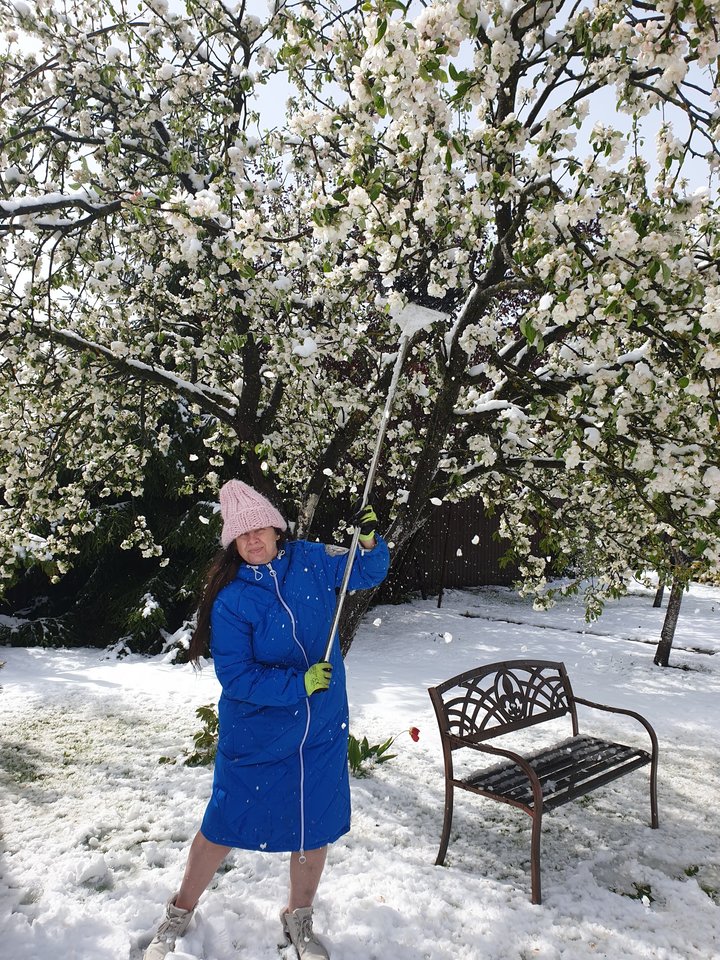 Sniegas užklojo Livetos Kazlauskienės sodą.<br>Asmeninio archyvo nuotr.