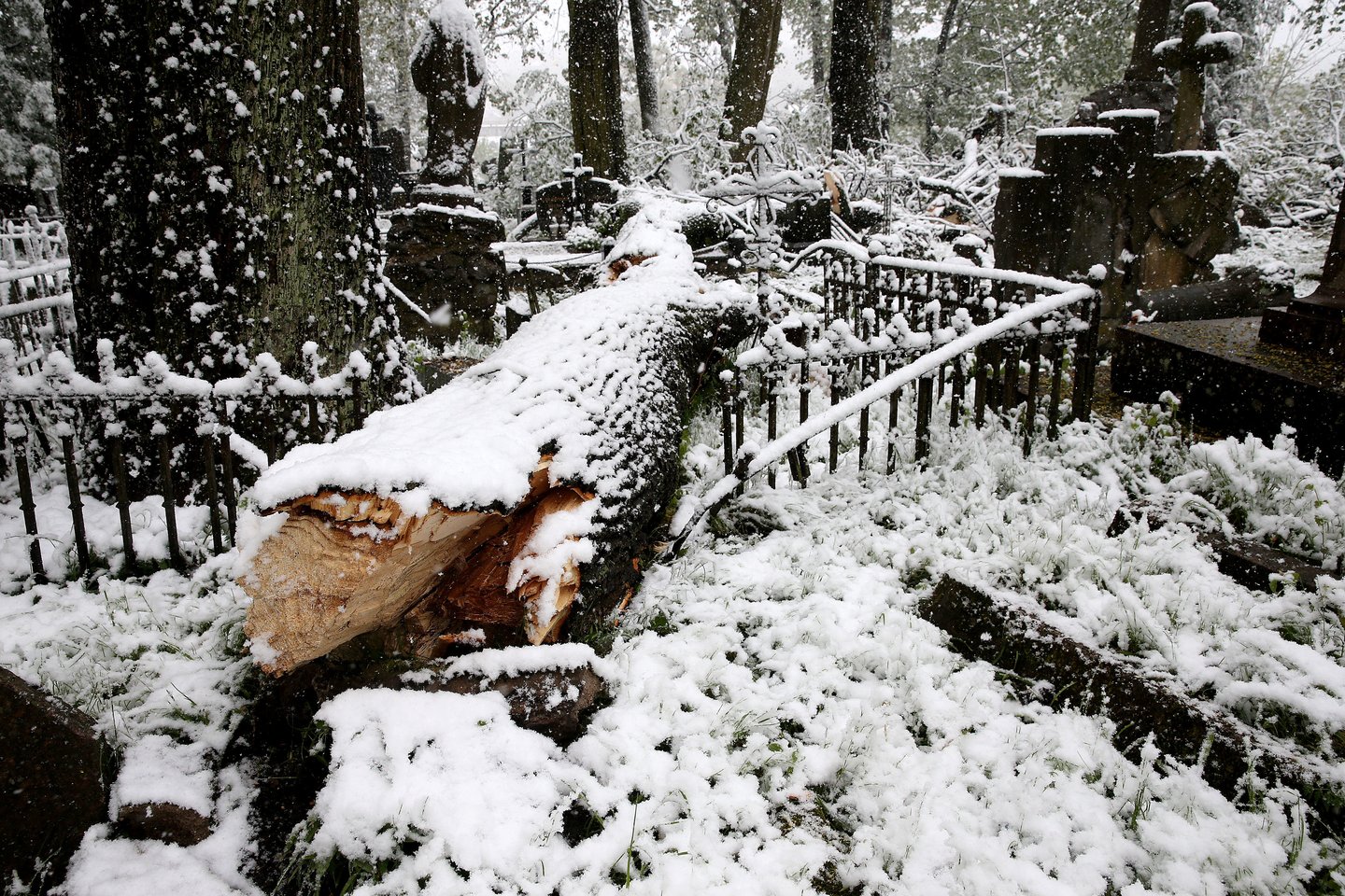  Vėjas išlaužė medžius Bernardinų kapinėse.<br> R.Danisevičiaus nuotr.