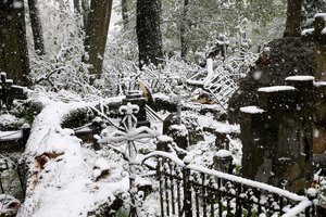 Vėtra bei sniegas sukėlė daug rūpesčių: nusiaubtos ir Bernardinų kapinės, medžiai virto ant automobilių