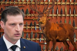 K. Mažeika atsitraukia: medžioklė su lankais – išbraukta iš parengto įstatymo