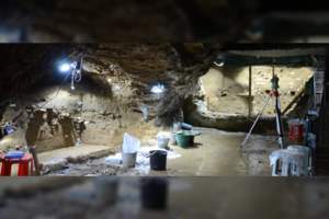 Atrasti seniausių šiuolaikinių europiečių palaikai