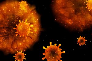 Estijoje paplitęs koronavirusas yra ne mažiau kaip aštuonių genetinių atmainų