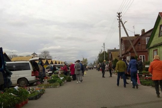 Turguje – pomidorų, agurkų ir paprikų daigelių rojus