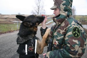 Karantinas tapo iššūkiu ne tik pasieniečiams: keturkojams pareigūnams bus sudėtinga