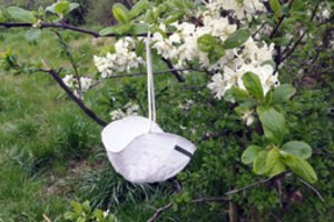 V. Sinkevičius: per dvi savaites turėtų būti pristatytas ES atsigavimo po pandemijos planas