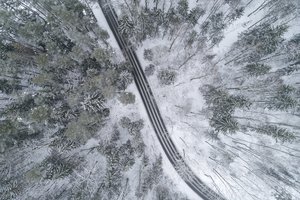 Grūdų augintojai: dėl iškritusio sniego laukai galėjo netekti iki 70 proc. derliaus