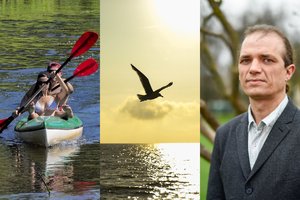 Klimatologas patarė planuojantiems vasaros atostogas Lietuvoje: išskyrė 30 dienų