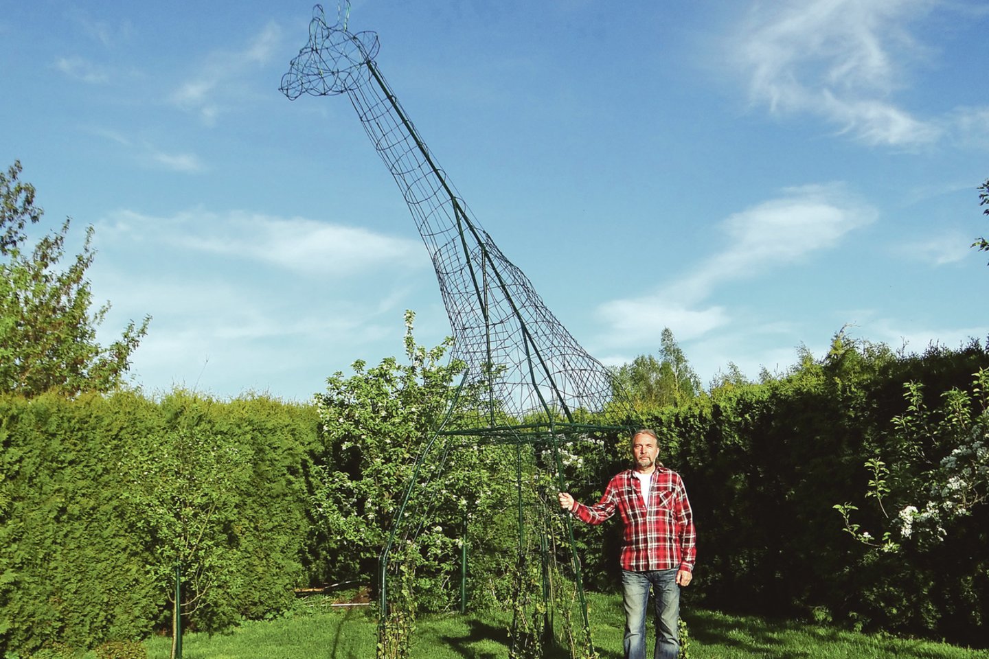 L. ir A.Ratkeliai savo namo kieme augina daug kantrybės reikalaujamčius neįprastus augintinius – iš tujų suformuotas įvairių gyvūnų figūras.<br>Nuotr. iš asmeninio archyvo