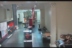 Uždarytame Australijos muziejuje įsibrovėlis pasidarė asmenukių su dinozauro kaukole