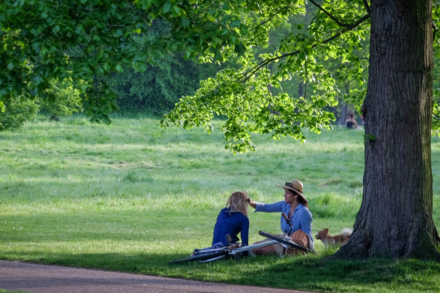  Londono parkuose puikiai kartu sutaria žmonės, paukščiai, žvėrys.<br> S. Mackevičiaus nuotr.