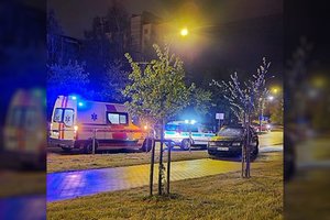 Kaip senais laikais: užblokavusi kelią kitam automobiliui gauja chuliganų sudaužė vairuotoją ir jo mašiną