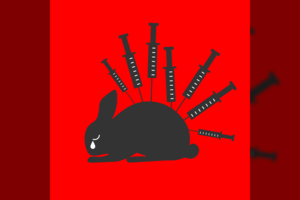 10 dalykų, kurie turi kelti nerimą gyvūnų mylėtojams