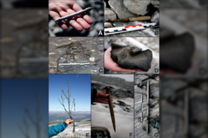 Netikėtas atradimas: tirpstant ledui pasirodė kaulai ir lobynas