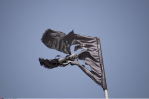 IS džihadistai dykumos kelyje sušaudė 11 žmonių