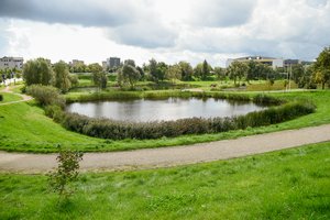 Lietuvos olimpiečiai išbandė naują „Impuls“ lauko sporto klubą Vilniuje