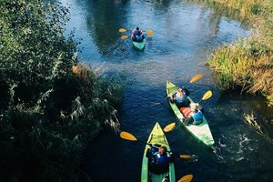 Verslo idėjas kaime šiemet augins gausesnė parama