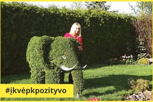 Gyvūnų skulptūras iš tujų kurianti kauniečių pora ėmėsi dar neregėtų darbų – neatsigina smalsuolių