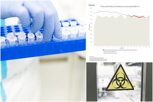 Mirčių statistika Europoje: palygino Lietuvą su kitomis šalimis