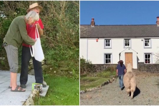 To kiekvieną dieną neišvysi: į žmonių duris beldžiasi lama