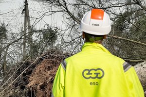 Pažadėjo ir pamiršo: kaip kaimo žmonės kovoja dėl elektros