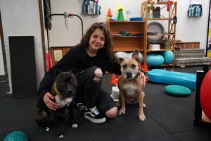 Šunys iš prieglaudos pakeitė Dominykos gyvenimą: parodė gyvenimo kelią