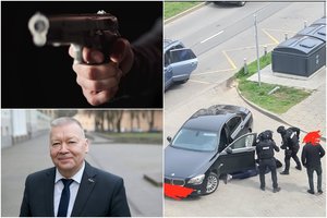 Žiaurų išpuolį prie Kauno surengęs banditas suimtas, bet policijos vilkas perspėja – kruvina istorija tuo gali nesibaigti