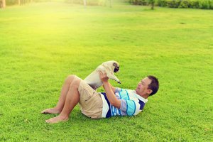 Istorinė akimirka: Kinijoje šunys pagaliau pripažinti augintiniais