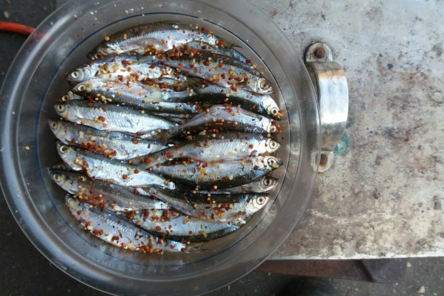 D.Martinaitis: „Nuostabaus grožio Sartų ežere prigaudėme daug įvairių žuvų.“<br>Asmeninio archyvo nuotr.  