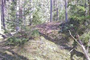 Pilkapių plėšikai sugrįžo į Aukštaitiją