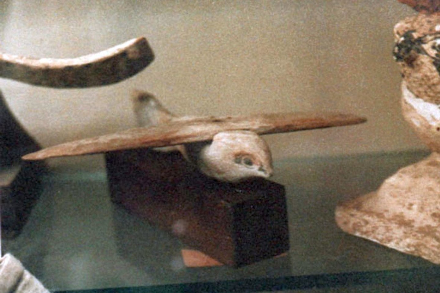  1898 metais per kasinėjimus netoti Sakaros nekropolio buvo aptiktas įdomus radinys – nedidelis medinis paukštis.<br> Wikimedia commons
