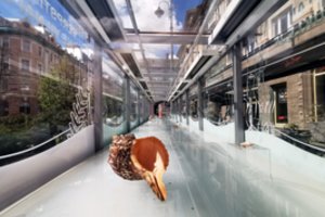 Pačiame Vilniaus centre – lopinėlis jūros