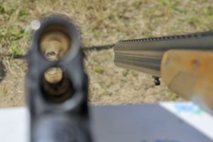 Skuodo r. nušautas šuo, piktadarių ieško policija