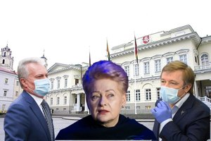 R. Karbauskis negaili kritikos G. Nausėdos komandai: palygino su D. Grybauskaitės