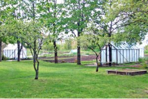 Po daugiabučio langais susikasė žemę, pasistatė šiltnamius, kažką augina – kaimynai siunta