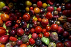 Daržovių augintojams, kurie produkciją išdalins labdarai – didesnė valstybės parama