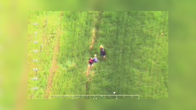 Vaizdai iš sraigtasparnio: Elektrėnų savivaldybėje dingusios moters paieška baigėsi rugių lauke
