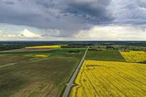 A. Palionis: karantinas paveikė derybas dėl tiesioginių išmokų žemdirbiams
