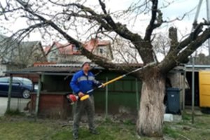 Daugelis sodininkų pamiršta darbą, kurį būtina atlikti – tada stebisi, kad derlius skurdus