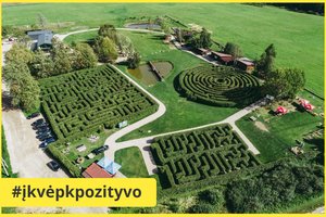 Apsisuks galva: paklaidžioti vėl galima vieninteliame Lietuvoje Labirintų parke