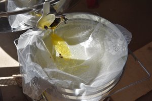 Bitininkai jau žino, kaip atsikirs niurnantiems, kad medus – brangus